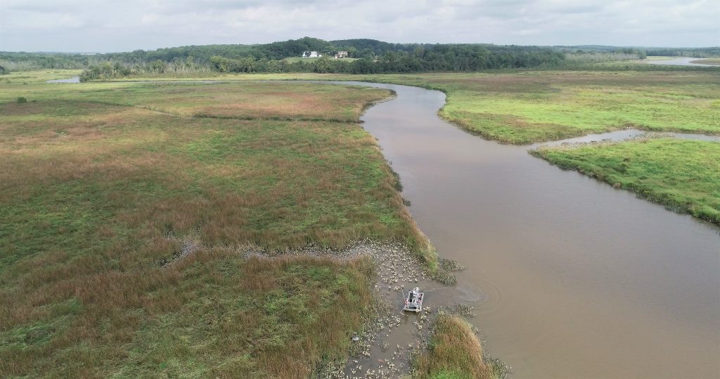 Wetlands in Jug Bay in Maryland